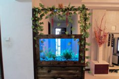 风水学:鱼缸放在哪里风水好