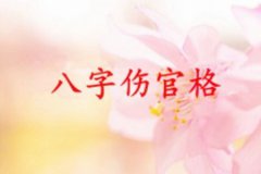 八字命理：伤官格是什么意思