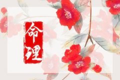 八字财运：戊辰日自坐财库看配偶