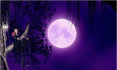 唐绮阳今日星座运势：2023年5月4日