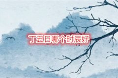 命理测算：丁丑日哪个时辰好