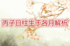 命理测算：丙子日柱生于各月解析