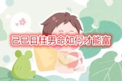 八字命理：己巳日柱男命如何才能富