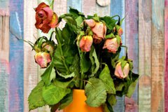 八字财运:财位忌讳放什么