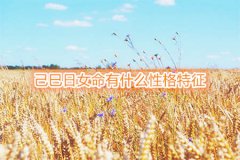 八字命理：己巳日女命有什么性格特征