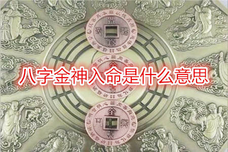 八字金神入命是什么意思