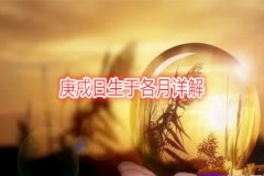 命理测算：庚戌日生于各月详解