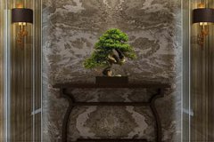 风水学:开门见什么植物最吉利