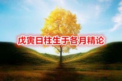 命理测算：戊寅日柱生于各月精论
