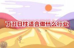 丁丑日柱运势测算:适合做什么行业