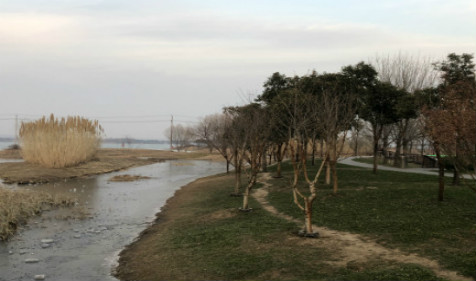 1683712287261245.jpg IMG_0335.jpg