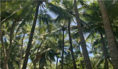 射手座每日星座运势：2023年5月11日（真人算命一条街免费算卦街）