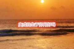 八字命理：庚戌日生于卯月好吗