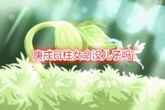 八字命理：庚戌日柱女命没儿子吗