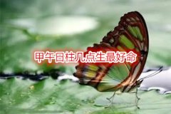八字命理：甲午日柱几点生最好命