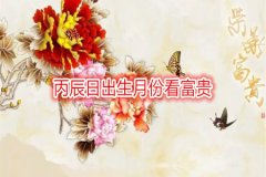 八字命理：丙辰日出生月份看富贵
