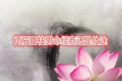 八字命理:丙辰日柱男命经商还是仕途
