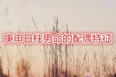 <b>八字合婚,：庚申日柱男命的配偶特征</b>