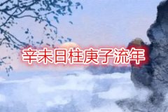 八字命理：辛未日柱庚子流年