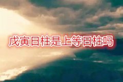 八字命理：戊寅日柱是上等日柱吗