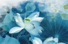 风雅颂易学网命理测算：女命冠带在哪一柱最好，命带冠带有什么好处