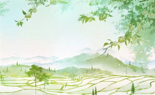 丁巳年是火命还是土命 丁巳年纳音五行属什么