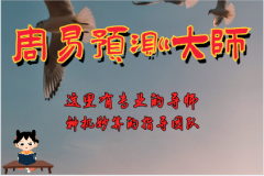 风雅颂易学网易经算姻缘：嫁贵夫日柱第一名，配偶权贵旺夫命运