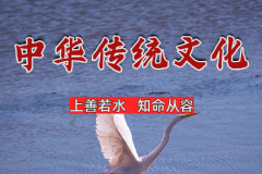 风雅颂易学网测八字算命：八字命中带财的紫薇斗数，紫薇斗数中带财的宫位