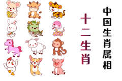 明日生肖运势:2023年9月3日属相小运与特吉生肖