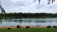 风雅颂易学网：处女座明日星座运势2023年9月11日