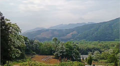 风雅颂易学网：爱莎公主今日运势2023年9月12日