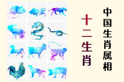 未命名图片 (80).png