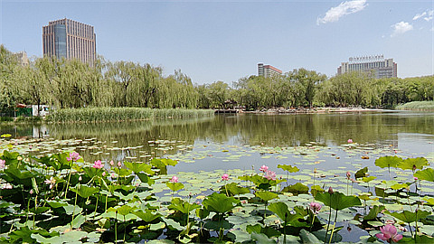 1694655289103315.jpg bc6f66ac68c77b751e3ae07c1bb92d2.jpg