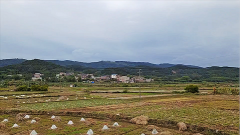 风雅颂易学网：巨蟹座明日星座运势2023年9月15日