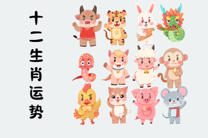 未命名图片 (31).png