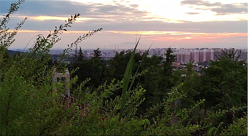 1694750229237922.png 1694426005089.png