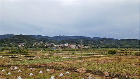 1694750338107742.png 1694425816082.png