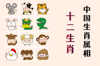 未命名图片 (3).png