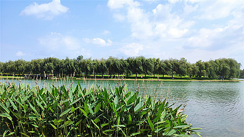 1694906836108461.jpg 7f7cc1afc5cb1660203c09e6b95822a.jpg