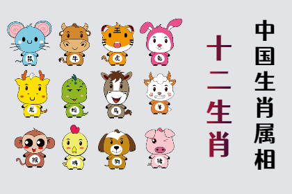 未命名图片 (13).png