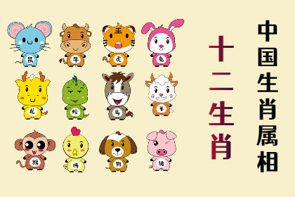 未命名图片 (17).png