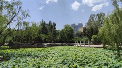 风雅颂易学网：Ezoey徐佩玲每日星座运势2023年9月19日