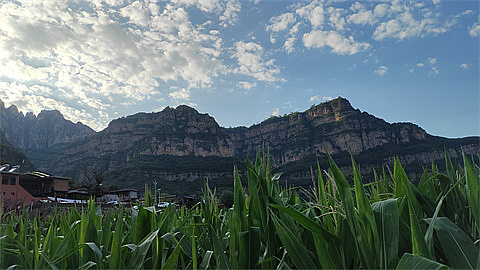 1695868780877633.jpg 8d1ceb5e7e0966e6085dbfe1e42c4a4.jpg