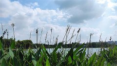 风雅颂易学网：巨蟹座明日星座运势2023年10月1日