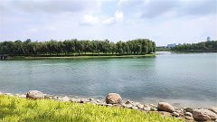 风雅颂易学网：Ezoey徐佩玲每日星座运势2023年10月8日