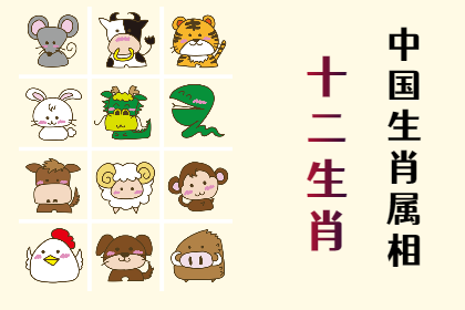 未命名图片 (5).png