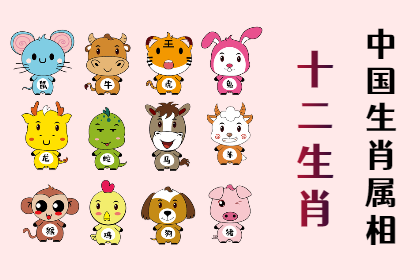 未命名图片 (11).png