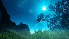 风雅颂易学网：双鱼座明日星座运势2023年10月17日