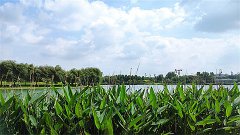 风雅颂易学网：运势君每日星座运势2023年10月17日