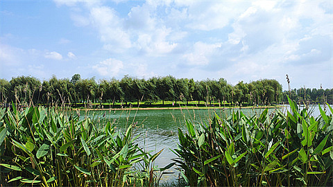 1697506541140670.jpg ec1bd828d76072b93d59bbef22ac03f.jpg